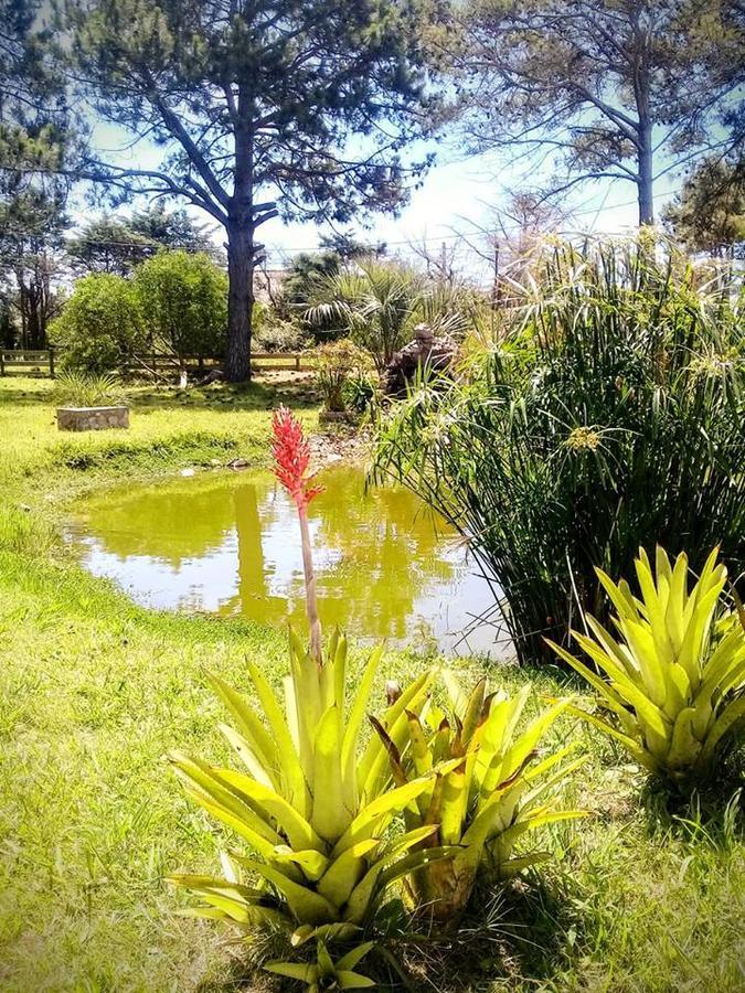 Hostel El Nagual Punta Del Diablo Εξωτερικό φωτογραφία